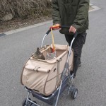 猫同伴の旅行、お出かけで使うカート、バッグ