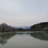 20140427車中泊旅行記17　福島県喜多方市にある道の駅「喜多の郷」の池で気持ちのいいお散歩